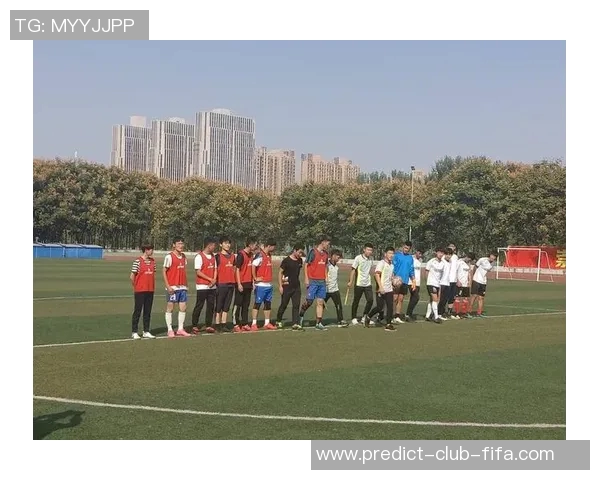 足球赛的激情与团队精神的深刻体会与反思